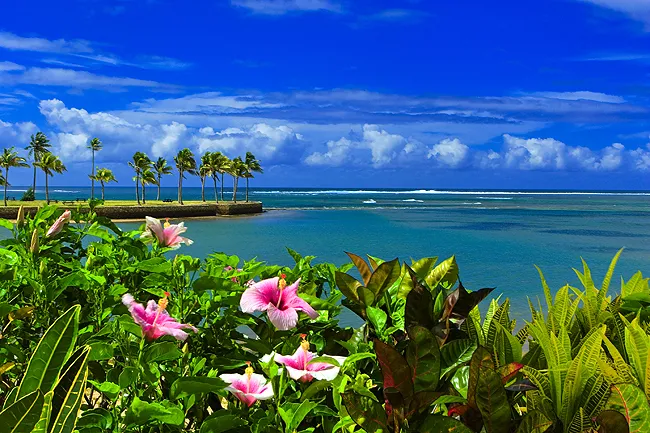The Naviti Resort (Coral Coast)