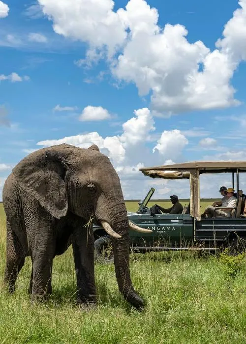 Angama Mara