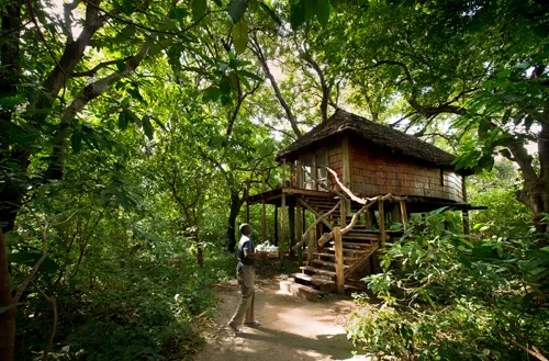 &Beyond Lake Manyara Tree Lodge