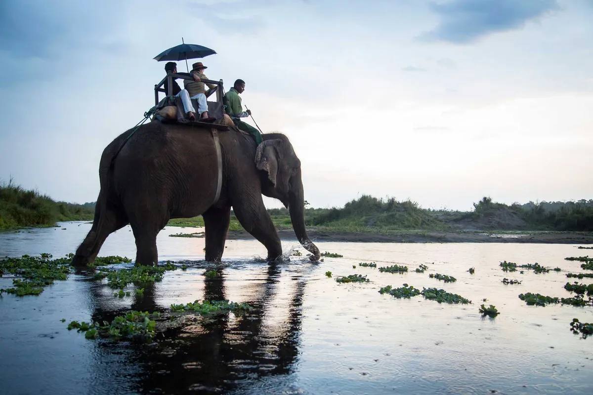 Meghauli Serai, A Taj Safari - Chitwan National Park